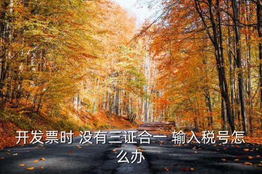 開發(fā)票時(shí) 沒有三證合一 輸入稅號(hào)怎么辦