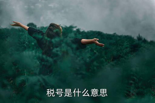 納稅號(hào)碼是什么意思，稅號(hào)是什么意思