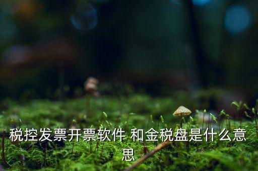 稅控系統(tǒng)指什么，稅控發(fā)票開票軟件 和金稅盤是什么意思