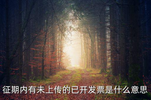 征期內(nèi)有未上傳的已開(kāi)發(fā)票是什么意思