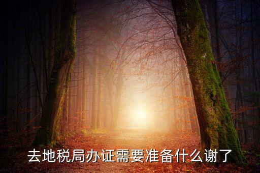 地稅局辦理什么，地稅局開發(fā)票需要辦什么手續(xù)