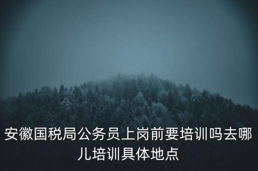 安徽國稅什么時候培訓，安徽省稅務學校還在嗎那里的教學樓宿舍和操場都還在嗎沒被拆