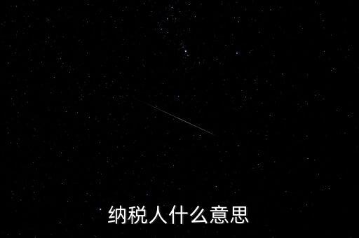 納稅人什么意思