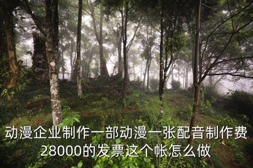 動漫企業(yè)制作一部動漫一張配音制作費(fèi)28000的發(fā)票這個帳怎么做