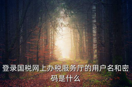 登錄國稅網(wǎng)上辦稅服務(wù)廳的用戶名和密碼是什么