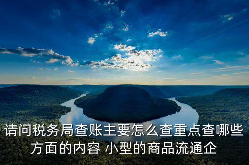 稅務局來查的話查什么，稅務局來查帳會查原材料帳嗎查什么