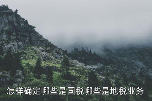 業(yè)務(wù)地稅是什么，地稅申報中業(yè)務(wù)種類是什么