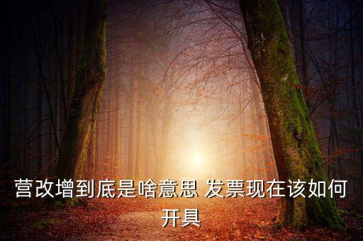 營改增到底是啥意思 發(fā)票現(xiàn)在該如何開具