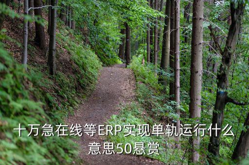 十萬急在線等ERP實(shí)現(xiàn)單軌運(yùn)行什么意思50懸賞