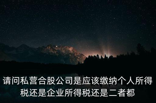 請問私營合股公司是應該繳納個人所得稅還是企業(yè)所得稅還是二者都