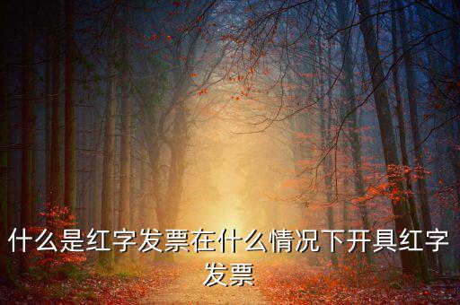 什么是紅字發(fā)票在什么情況下開(kāi)具紅字發(fā)票