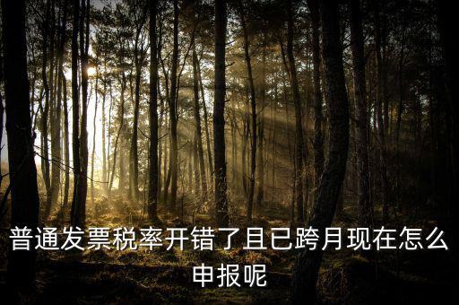 普通發(fā)票稅率開錯了且已跨月現在怎么申報呢