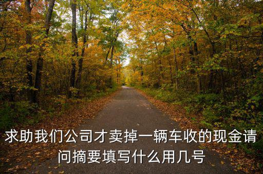 求助我們公司才賣掉一輛車收的現(xiàn)金請(qǐng)問(wèn)摘要填寫什么用幾號(hào)