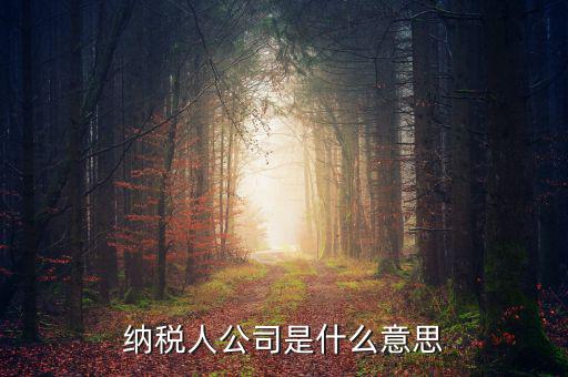 納稅人公司是什么意思