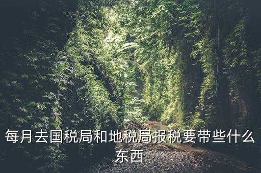 每月去國稅局和地稅局報稅要帶些什么東西