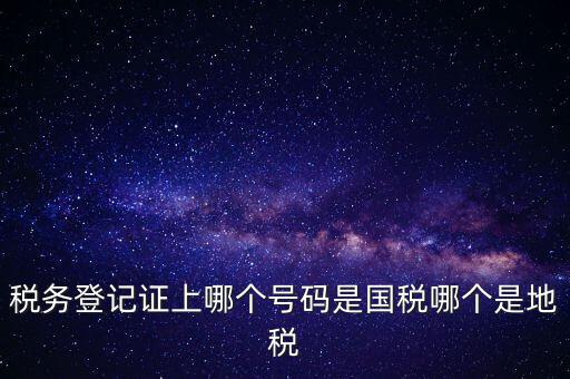 國稅地稅登記號是什么，稅務登記證上哪個號碼是國稅哪個是地稅