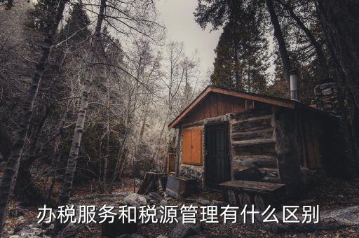 什么是辦稅服務(wù)廳，辦稅服務(wù)和稅源管理有什么區(qū)別