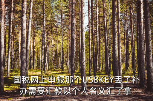 稅務ukey是什么意思，國稅網(wǎng)上申報那個USBKEY丟了補辦需要匯款以個人名義匯了拿