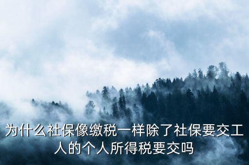 社保為什么分公司個(gè)人所得稅，企業(yè)社會(huì)保險(xiǎn)與個(gè)人所得稅有什么關(guān)系