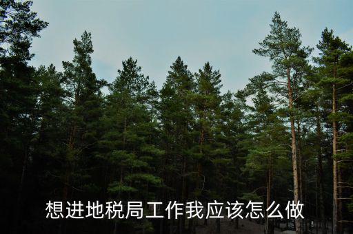 想進地稅局工作我應(yīng)該怎么做