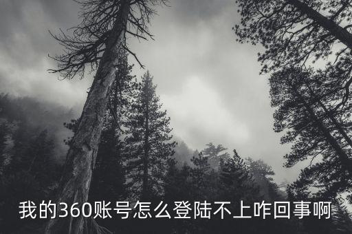 我的360賬號怎么登陸不上咋回事啊