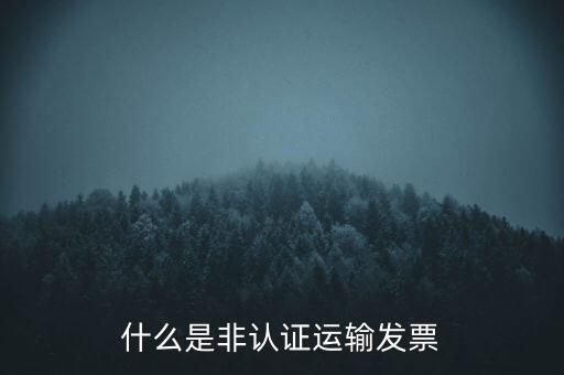 運(yùn)輸票是什么，運(yùn)輸發(fā)票是普通發(fā)票嗎