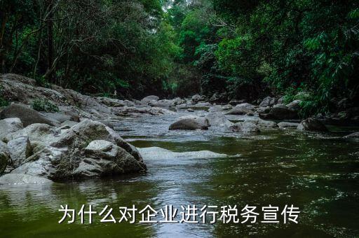 為什么要稅法宣傳，口語(yǔ)交際為什么要依法納稅不納稅有什么危害你怎么做一個(gè)稅法宣