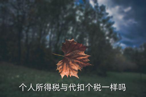 個(gè)人所得稅與代扣個(gè)稅一樣嗎