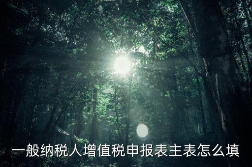 一般納稅人主表是什么，一般納稅人增值稅申報(bào)表主表怎么填