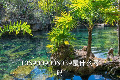 10699999是什么號(hào)碼，1069009006039是什么號(hào)碼