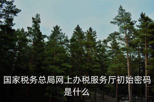 國稅申報默認(rèn)密碼是什么意思，國家稅務(wù)總局網(wǎng)上辦稅服務(wù)廳初始密碼是什么