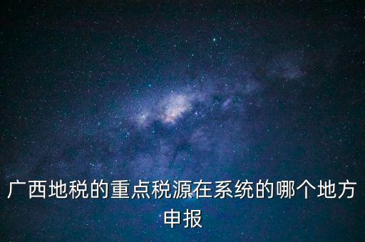 廣西地稅的重點(diǎn)稅源在系統(tǒng)的哪個地方申報