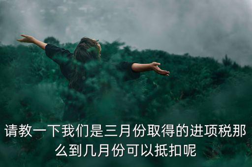 請教一下我們是三月份取得的進(jìn)項稅那么到幾月份可以抵扣呢