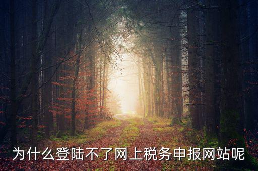 為什么登陸不了網(wǎng)上稅務申報網(wǎng)站呢