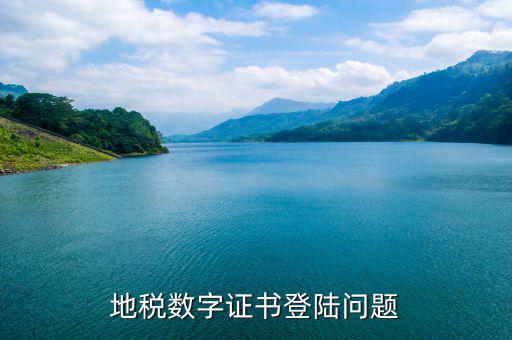 地稅數(shù)字證書登陸問(wèn)題