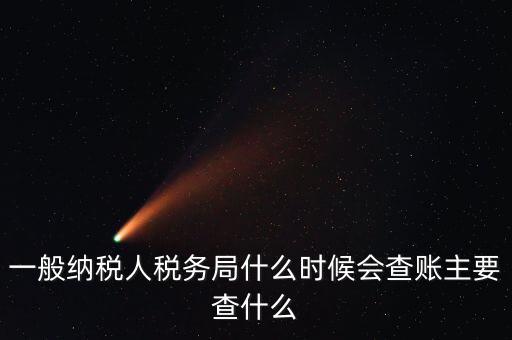 一般納稅人稅務局什么時候會查賬主要查什么