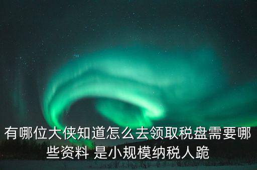 稅盤開通要什么資料，去稅務局辦理稅控盤需要什么資料流程怎么走呢