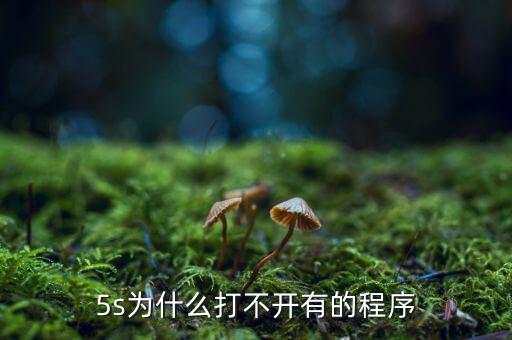 5s為什么打不開(kāi)有的程序