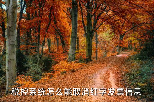 撤銷紅字信息表需要什么，我是購貨方開具紅字信息表錯(cuò)誤去稅務(wù)局撤銷信息表查看描寫