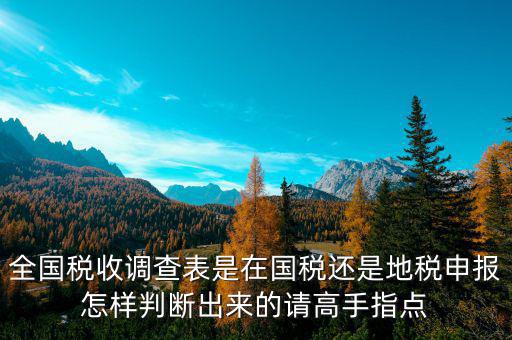 全國(guó)稅收調(diào)查表是在國(guó)稅還是地稅申報(bào)怎樣判斷出來(lái)的請(qǐng)高手指點(diǎn)