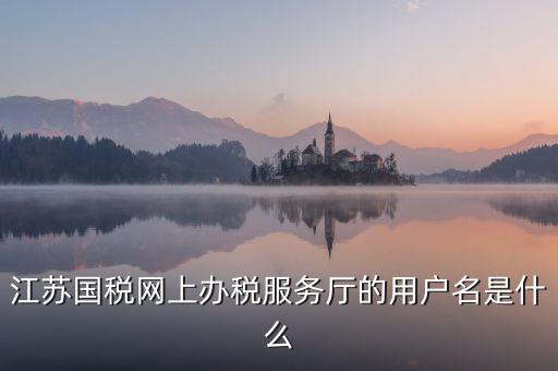 網(wǎng)上辦稅平臺(tái)帳號(hào)是什么，地稅網(wǎng)上申報(bào)用什么帳號(hào)