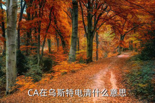 ca控件什么意思，CA在烏斯特電清什么意思