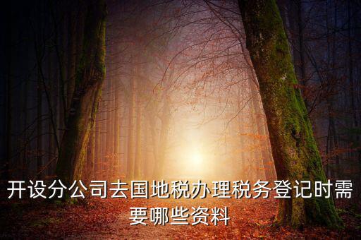 分公司地稅辦理需要什么材料，辦理分公司的稅務(wù)登記證需要準(zhǔn)備哪些資料