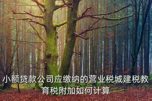 小額貸款公司如何繳稅，小額貸款公司的營業(yè)稅怎么算 sitewenwensosocom