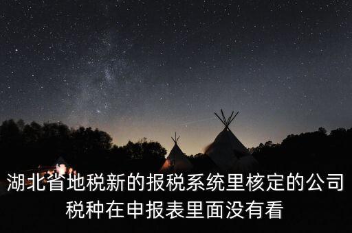 湖北省地稅新的報稅系統(tǒng)里核定的公司稅種在申報表里面沒有看