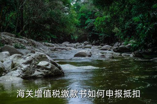 海關(guān)增值稅繳款書如何申報抵扣