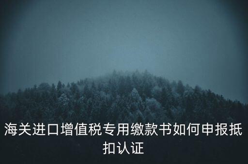 海關(guān)進(jìn)口增值稅專用繳款書如何申報抵扣認(rèn)證