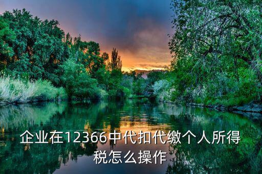 企業(yè)在12366中代扣代繳個人所得稅怎么操作