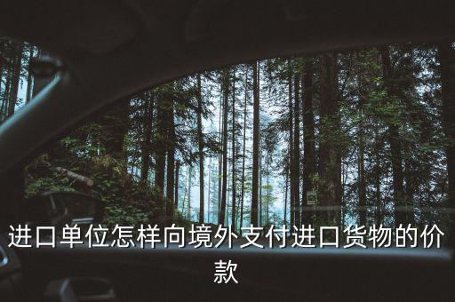 企業(yè)如何境外付款嗎，進口單位怎樣向境外支付進口貨物的價款