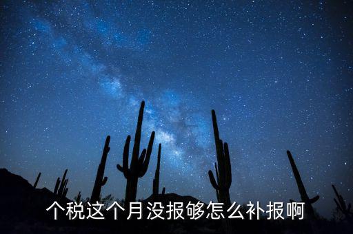 如何補(bǔ)報(bào)個(gè)人所得稅，個(gè)人所得稅報(bào)錯(cuò)了怎么補(bǔ)報(bào)